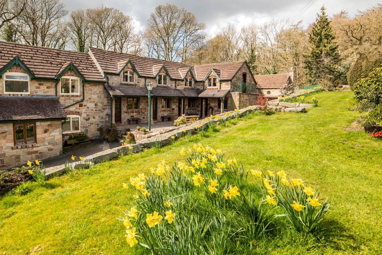 Nant Ucha Farm Villa Acrefair Dış mekan fotoğraf